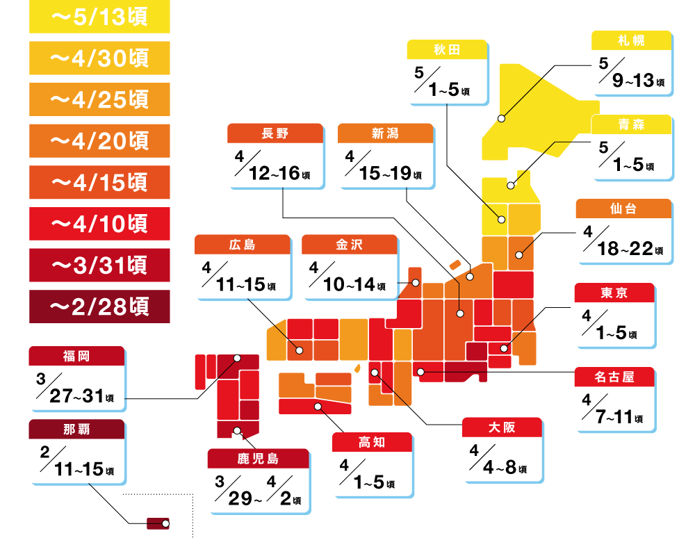 札幌 5月9～13日頃／青森 5月1～5日頃／仙台 4月20～24日頃／秋田 5月3～7日頃／東京 4月15～19日頃／新潟 4月19～23日頃／金沢 4月18～22日頃／長野 4月16～20頃／名古屋 4月9～13日頃／大阪 4月11～15日頃／広島 4月11～15日頃／高知 4月16～20日頃／福岡 4月6～10日頃／鹿児島 4月7～11日頃／那覇 4月3～7日頃