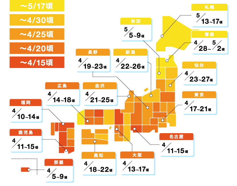 札幌 5月13～17日頃／青森 4月28～5月2日頃／仙台 4月23～27日頃／秋田 5月5～9日頃／東京 4月17～21日頃／新潟 4月22～26日頃／金沢 4月21～25日頃／長野 4月19～23日頃／名古屋 4月11～15日頃／大阪 4月13～17日頃／広島 4月14～18日頃／高知 4月18～22日頃／福岡 4月10～14日頃／鹿児島 4月11～15日頃／那覇 4月5～9日頃
